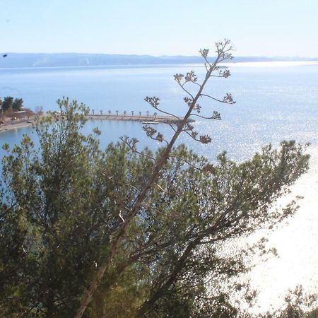 Paradise Apartment With Big Sunny Terrace In The Old Town, Few Meters From The Sea & Riva Promenade Split Dış mekan fotoğraf