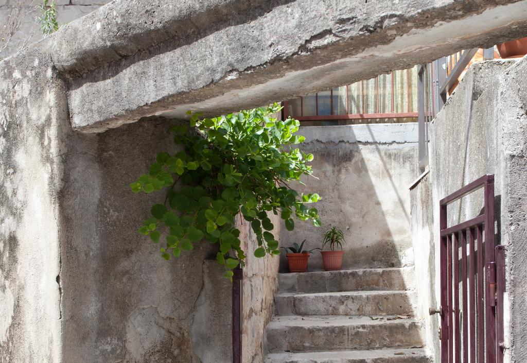 Paradise Apartment With Big Sunny Terrace In The Old Town, Few Meters From The Sea & Riva Promenade Split Oda fotoğraf